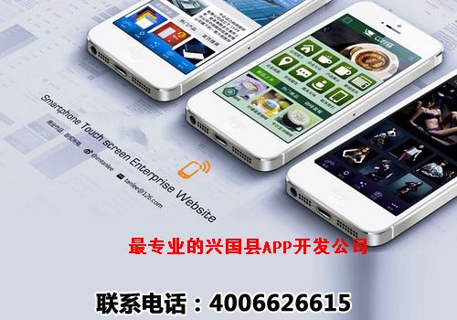 兴国县app开发