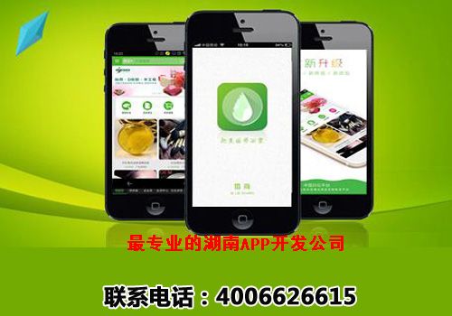湖南app开发