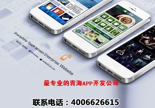 青海app开发