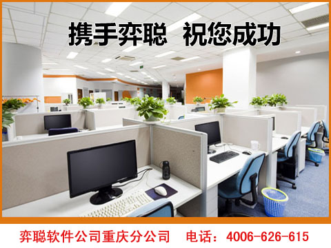 重庆软件公司