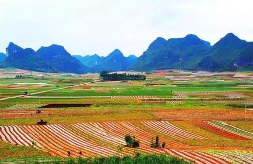 中国电商旅游第一村落户广西玉林