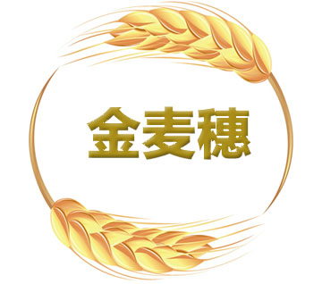 银川金麦穗软件开发有限公司