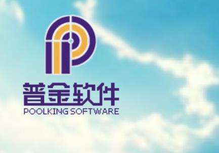 重庆软件股份有限公司