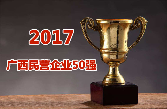 2017广西民营企业50强完整榜单