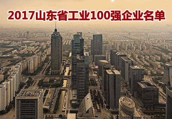 2017山东省工业100强企业