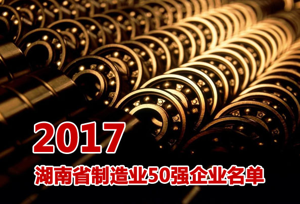 2017年湖南省制造业50强企业全名单