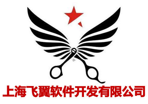 上海飞翼软件开发有限公司