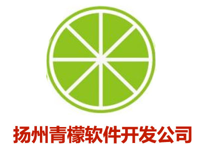 扬州青檬软件开发公司