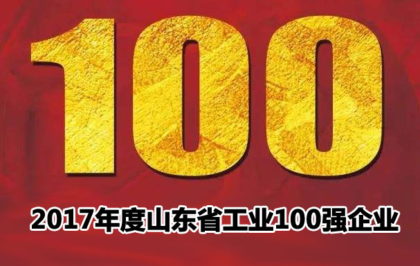 2017年度山东省工业100强企业名单
