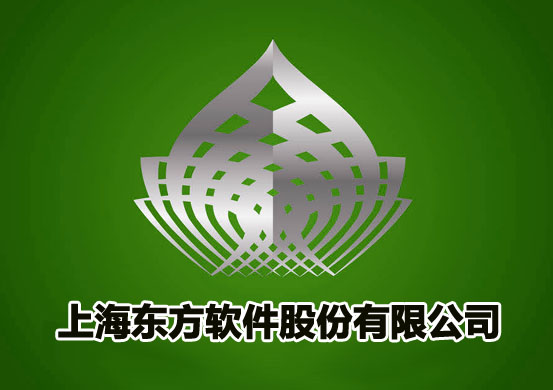 上海软件公司