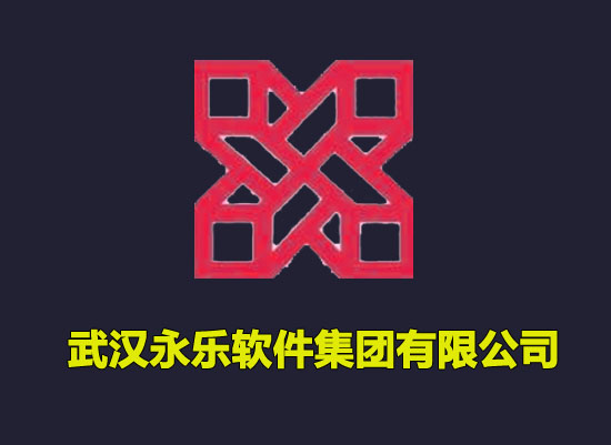 武汉软件公司