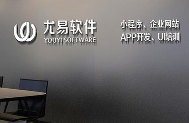 武汉软件公司