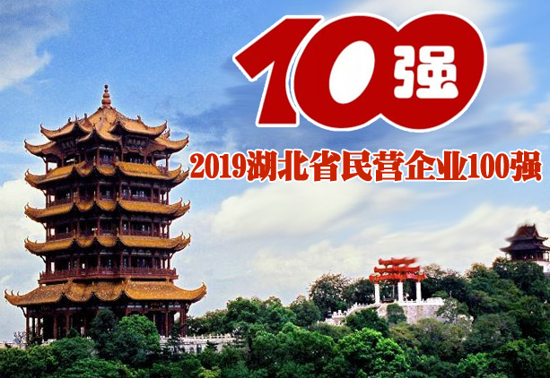 2019湖北省民营企业100强名单
