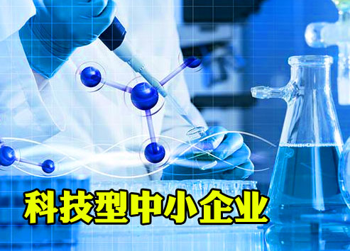 湖南省2019年科技型中小企业