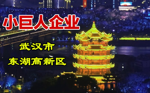 武汉市东湖高新区2021年度科技“小巨人”拟认定企业名单公布